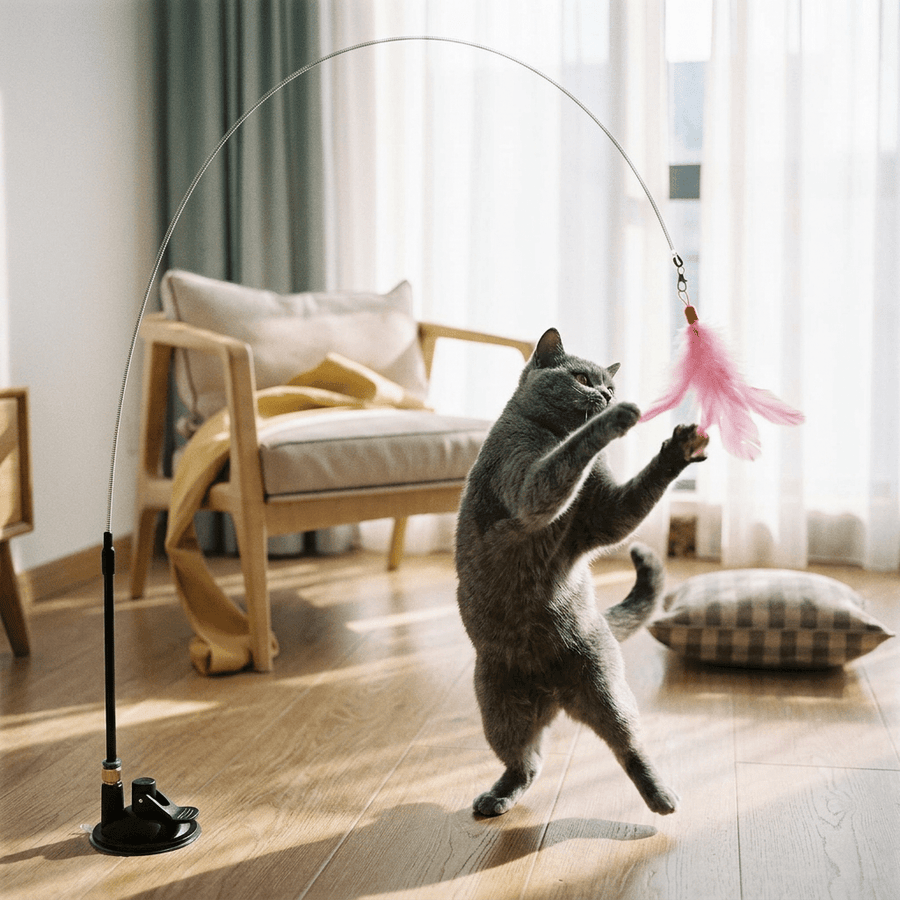Cat playing with a feather wand toy