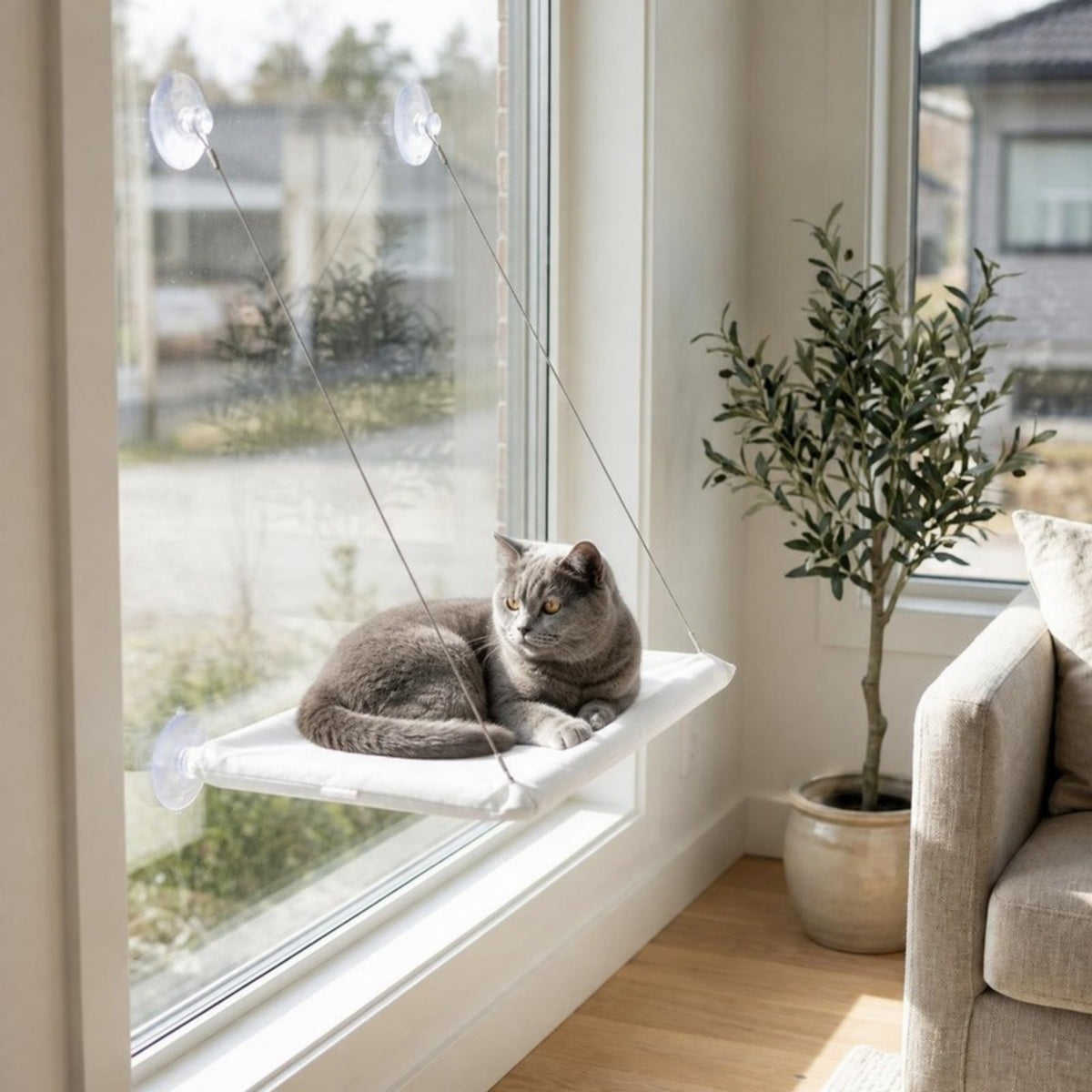 Cat window hammock in White - catscapes