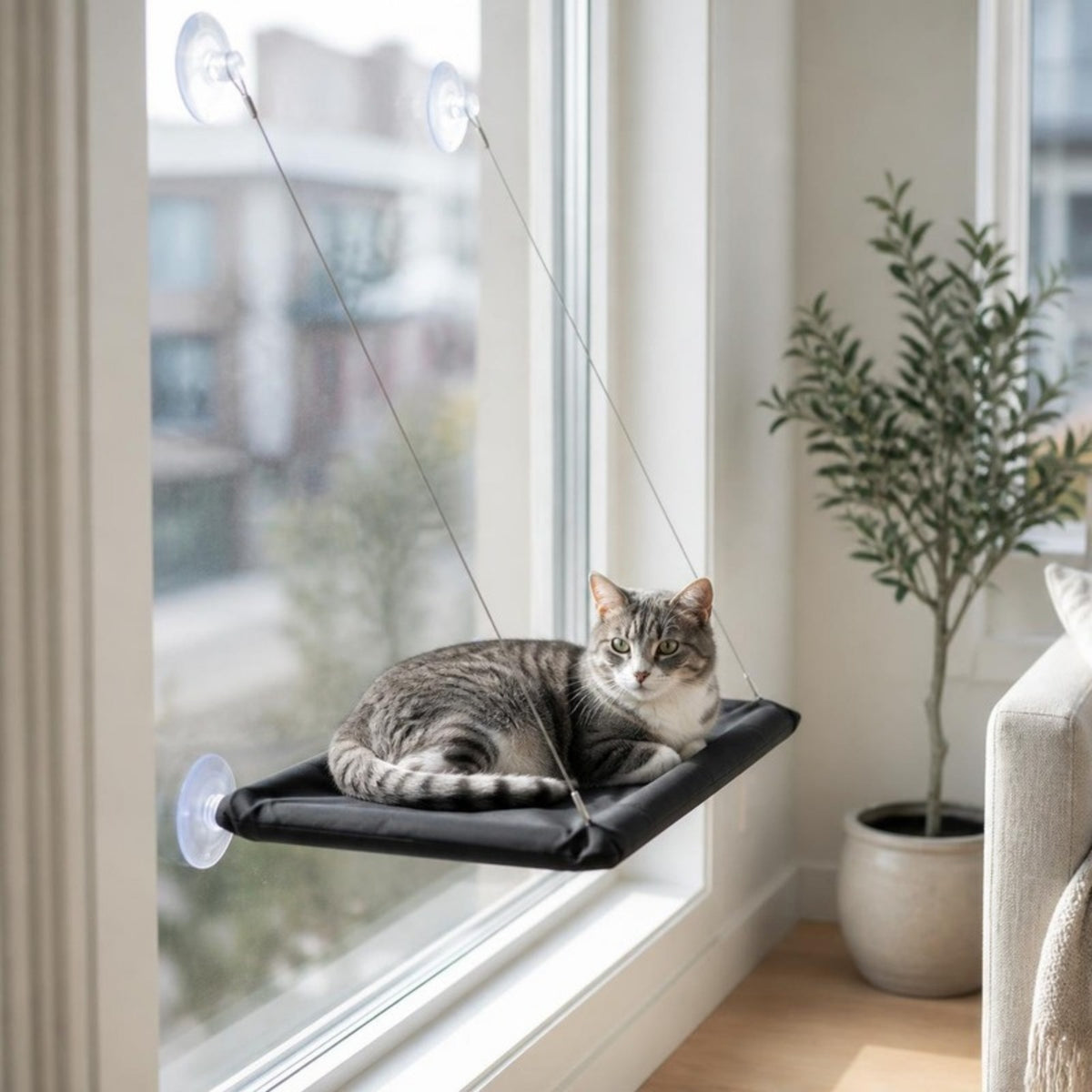Cat window hammock in Black - catscapes