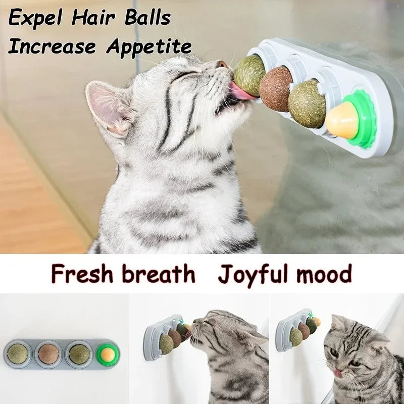 Rotating Silvervine Catnip Wall Ball – Stick-On Cat Lick Toy for Teeth Cleaning