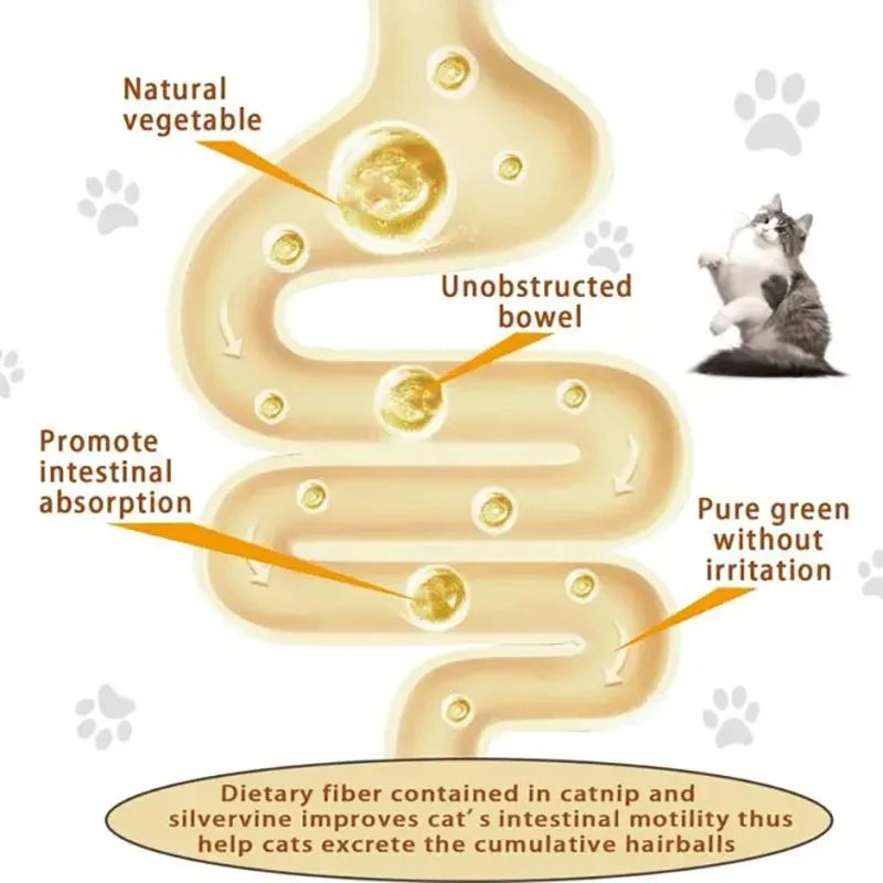 Rotating Silvervine Catnip Wall Ball – Stick-On Cat Lick Toy for Teeth Cleaning