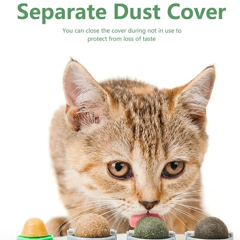 Rotating Silvervine Catnip Wall Ball – Stick-On Cat Lick Toy for Teeth Cleaning