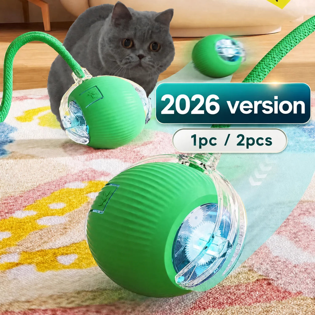 Automatic Rolling Cat Ball – Rechargeable Interactive Smart Cat Toy with Feather Tail