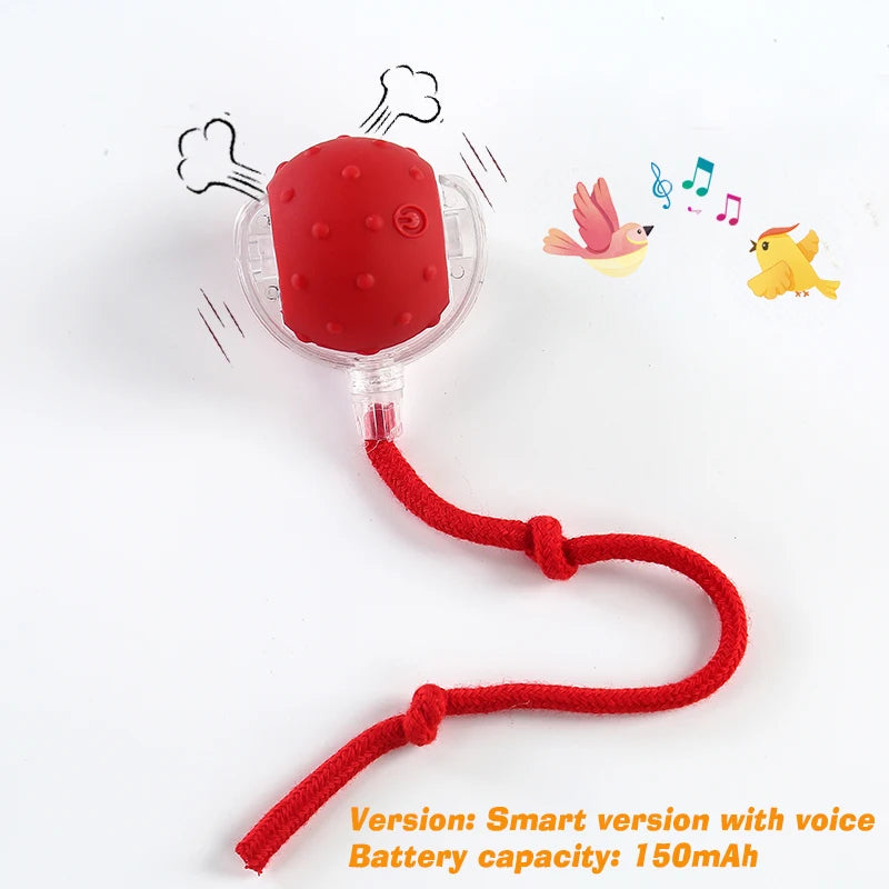 Automatic Rolling Cat Ball – Rechargeable Interactive Smart Cat Toy with Feather Tail