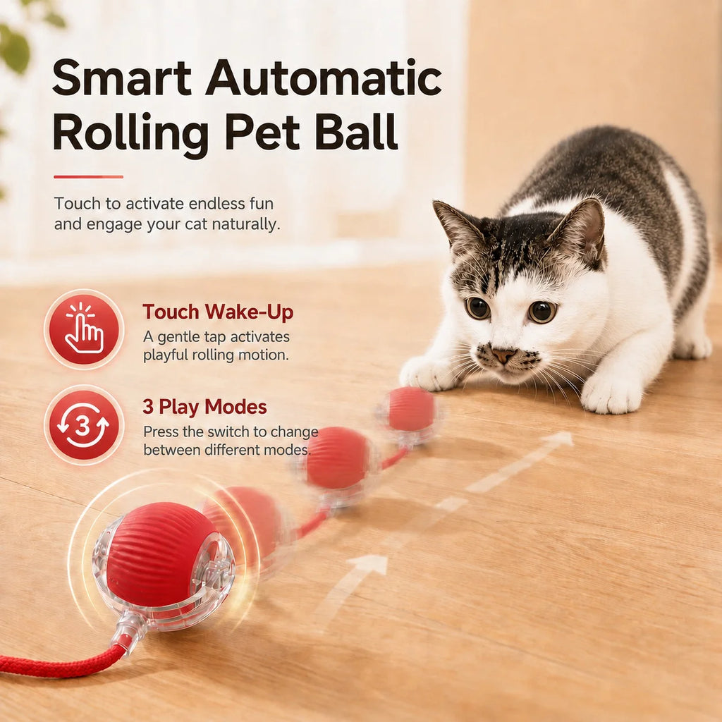 Automatic Rolling Cat Ball – Rechargeable Interactive Smart Cat Toy with Feather Tail
