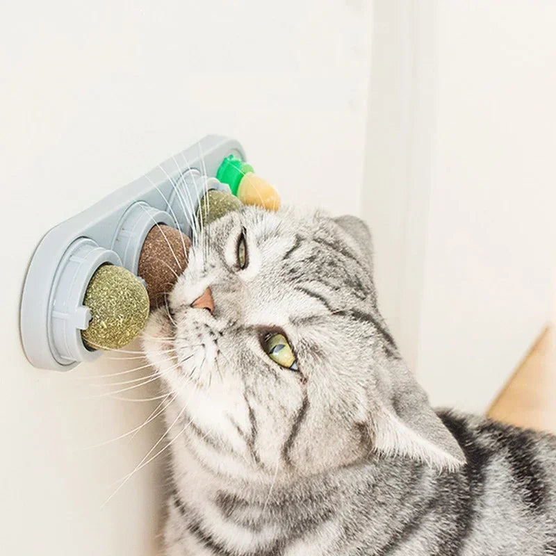 Rotating Silvervine Catnip Wall Ball – Stick-On Cat Lick Toy for Teeth Cleaning