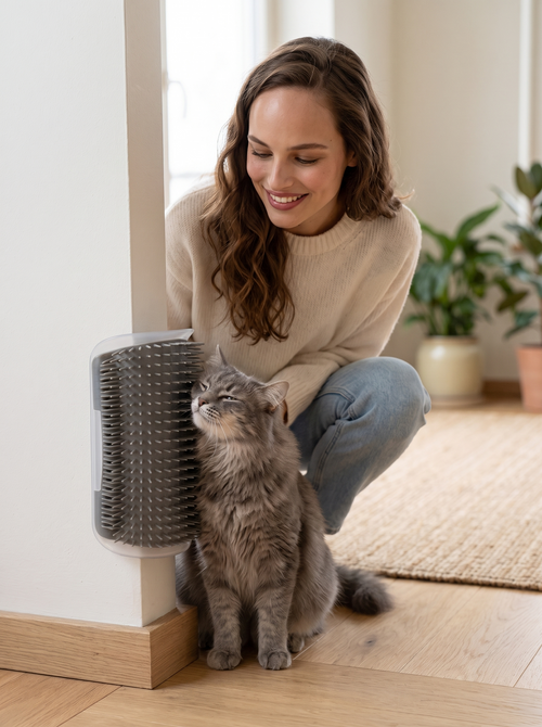 Grey cat rubbing on the corner self-groomer